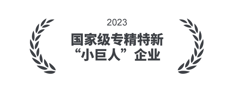 国家级专精特新“小巨人”企业 国家级专精特新“小巨人”企业